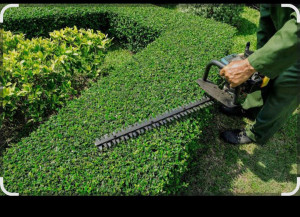 Photo de galerie - Devis gratuit je fais aussi les évacuation déchets 