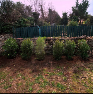 Photo de galerie - Plantation 