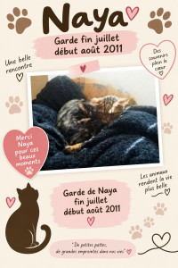 Photo de galerie - Garde chat