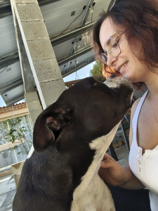 Photo de galerie - Garde chien