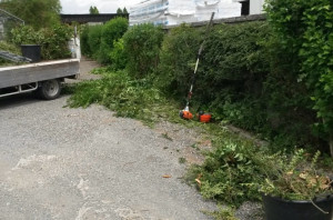 Photo de galerie - Taillage de haies et propreté du jardin 