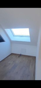 Photo de galerie - Réalisations de plafond en placo plâtre avec doublage et cloisons +peinture et la pose de parquet 