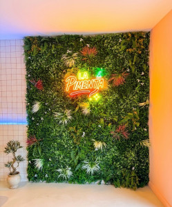 Photo de galerie - Installation mur végétal + néon