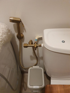 Photo de galerie - Poser une douchette au toilettes 