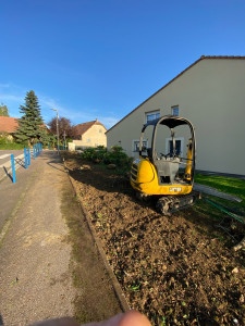 Photo de galerie - Arrange de haies et pose de cloture 