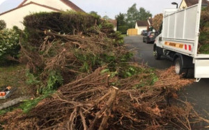 Photo de galerie - Taille de haies et d'arbustes