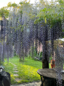 Photo de galerie - Paysagiste - Aménagement du jardin