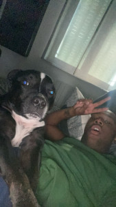 Photo de galerie - Garde chien