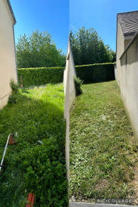 Photo de galerie - Tonte de pelouse finition rotofil