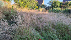 Photo de galerie - Avant