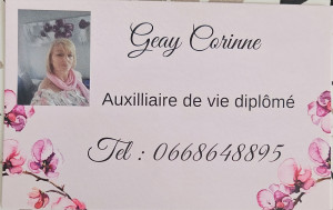 Photo de galerie - Toilette,  garde de nuit, menage, repassage,  accompagnement, déplacement sur saintes et 40km au alentours.  chèque emploi césu 