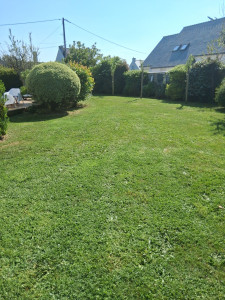Photo de galerie - Tonte de Pelouse 