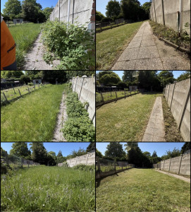 Photo de galerie - Tonte de jardin à la débroussailleuse + ramassage = résultat en photo 