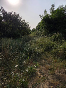 Photo de galerie - Avant nettoyage