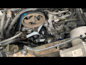 Photo de galerie - Distribution