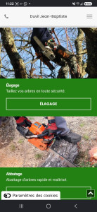 Photo de galerie -  paysagisse à votre service. Déplacement et devis gratuit.