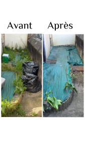 Photo de galerie - Enlèvement et évacuation de mauvaises herbes