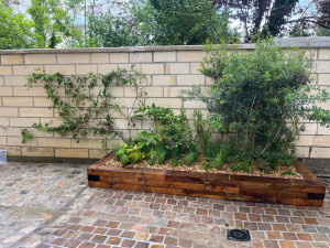 Photo de galerie - Réalisation d’un coffrage, puis plantation 