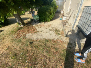 Photo de galerie - Bonjour avez-vous besoin  du désherbage regarde avant 