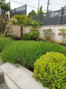 Photo de galerie - Paysagiste - Aménagement du jardin