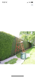 Photo de galerie - Taille de haies et d'arbustes