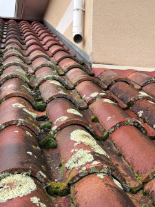 Photo de galerie - Avant le nettoyage 