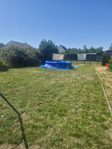 Photo de galerie - Tonte de pelouse - Débroussaillage