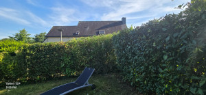 Photo de galerie - Remise au propre 