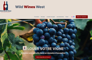 Photo de galerie - Création site internet