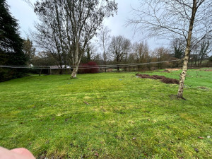 Photo de galerie - Tonte de pelouse