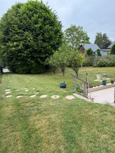 Photo de galerie - Entretien 