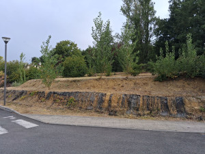 Photo de galerie - Entretien d'une petite copropriété sur Montrabé.