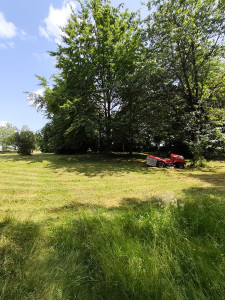 Photo de galerie - Tonte de pelouse - Débroussaillage
