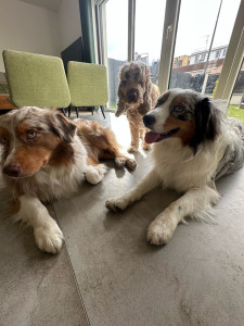 Photo de galerie - Suzi ❤️