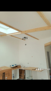 Photo de galerie - Plâtrerie - Murs - Plafonds