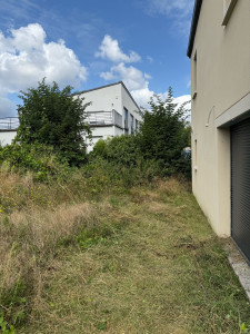 Photo de galerie - Tonte de pelouse - Débroussaillage