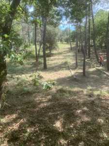 Photo de galerie - Débroussailleuses bord de forêt/maison