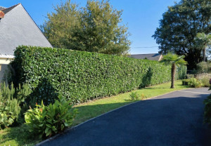 Photo de galerie - Jardinier
