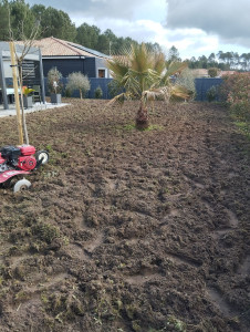 Photo de galerie - Paysagiste - Aménagement du jardin