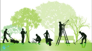 Photo de galerie - Espace vert 