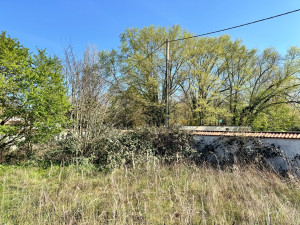 Photo de galerie - Débroussaillage 