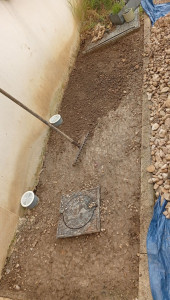 Photo de galerie - Nettoyage par terre de fleurs 