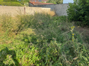 Photo de galerie - Avant 