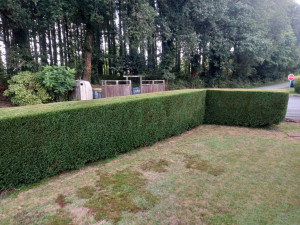 Photo de galerie - Cyprès 