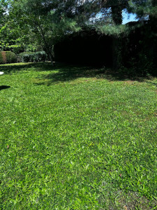 Photo de galerie - Débroussailler 