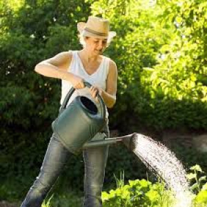 Photo de galerie - Rasine de l'eau de jardin 