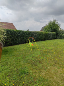 Photo de galerie - Taille de haies et d'arbustes