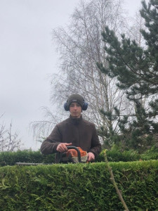 Photo de galerie - Taille de haie 