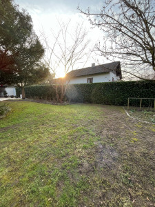 Photo de galerie - Haie de laurier 