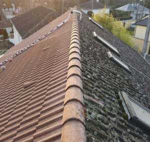 Photo de galerie - Nettoyage toiture fait à parthenay 